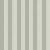 Regatta Stripe