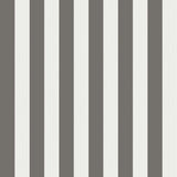 Regatta Stripe