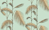 Palm Leaves