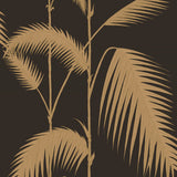 Palm Leaves