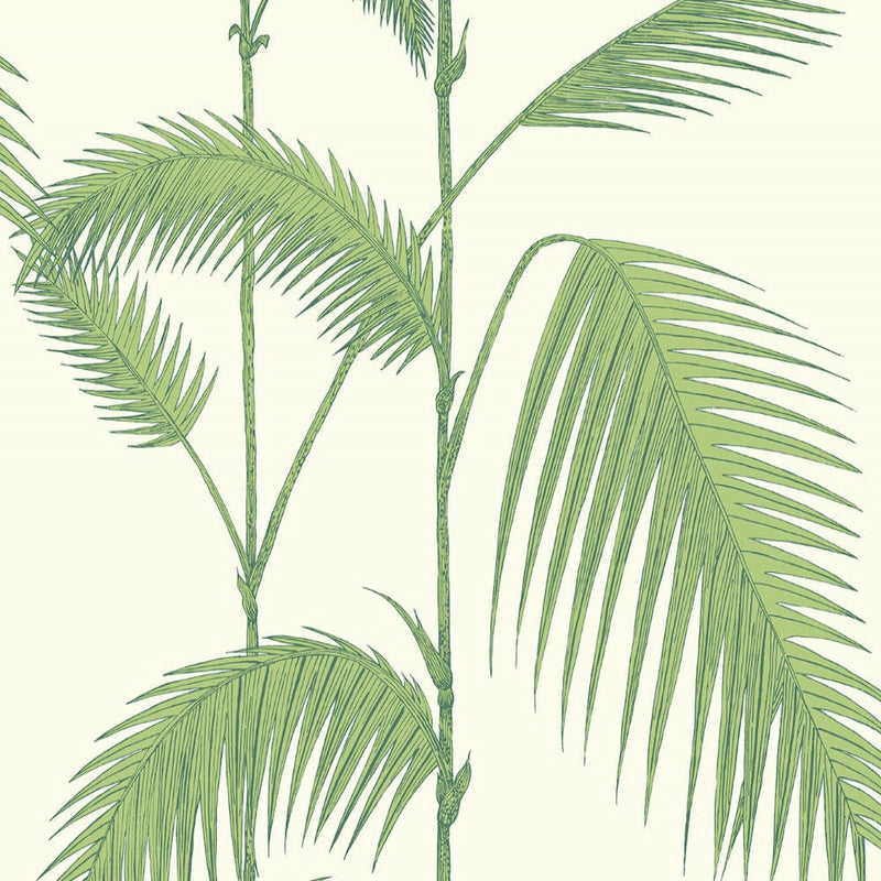Palm Leaves