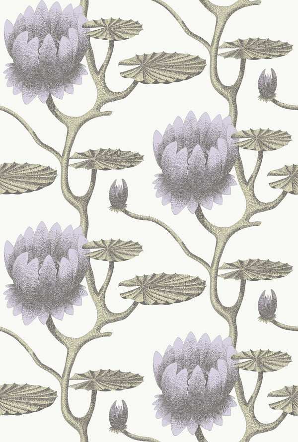 Carta da Paraty SUMMER LILY