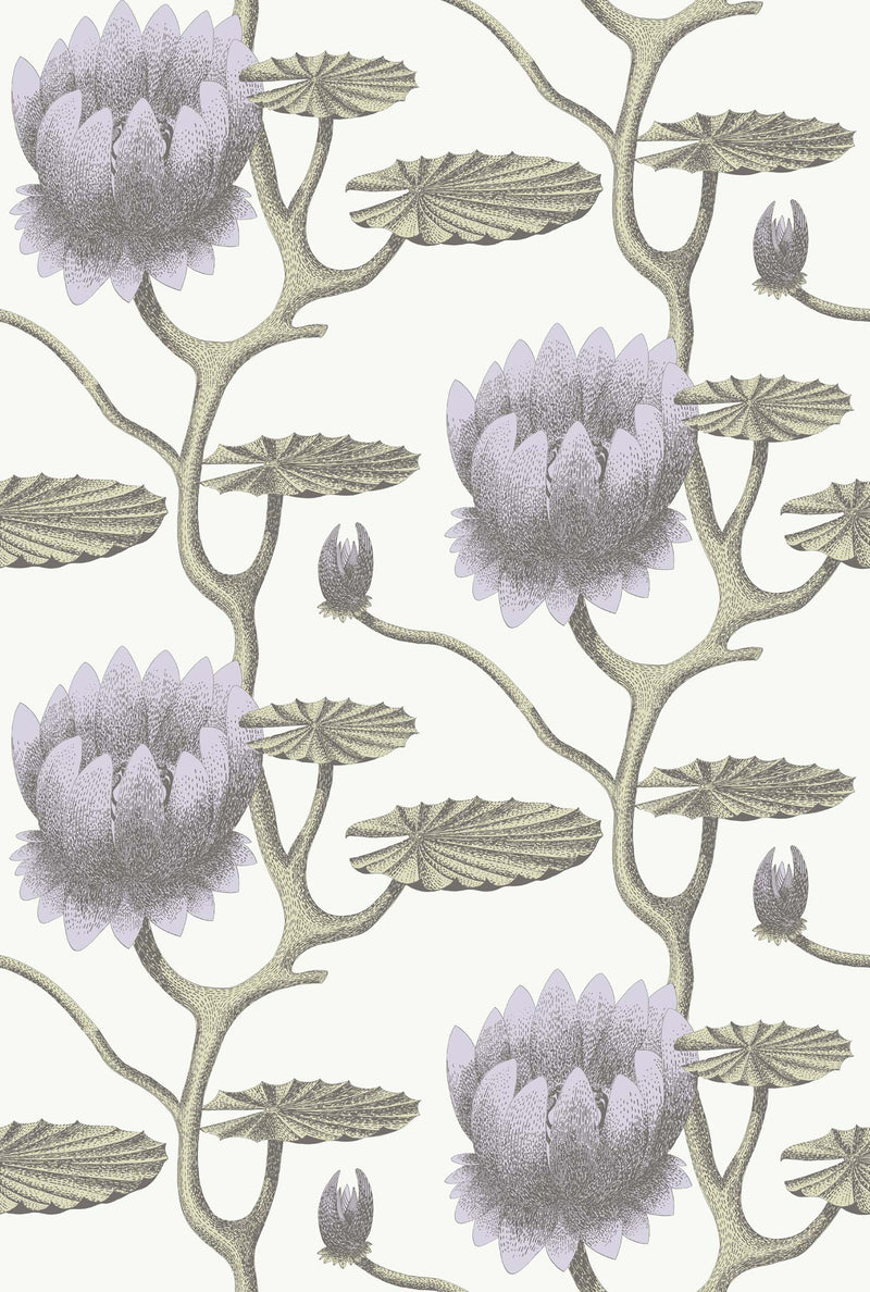 Carta da Paraty SUMMER LILY