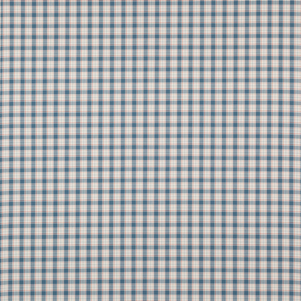 Barlow Check