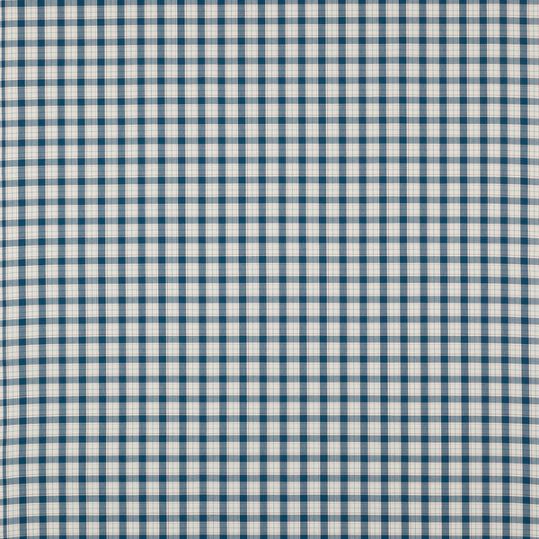 Barlow Check
