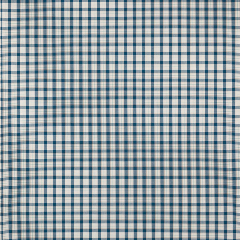 Barlow Check