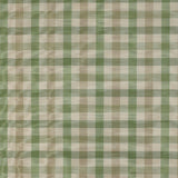 Belgrave Check