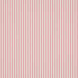 Carnival Stripe