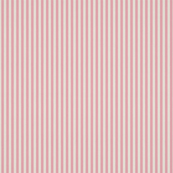 Carnival Stripe