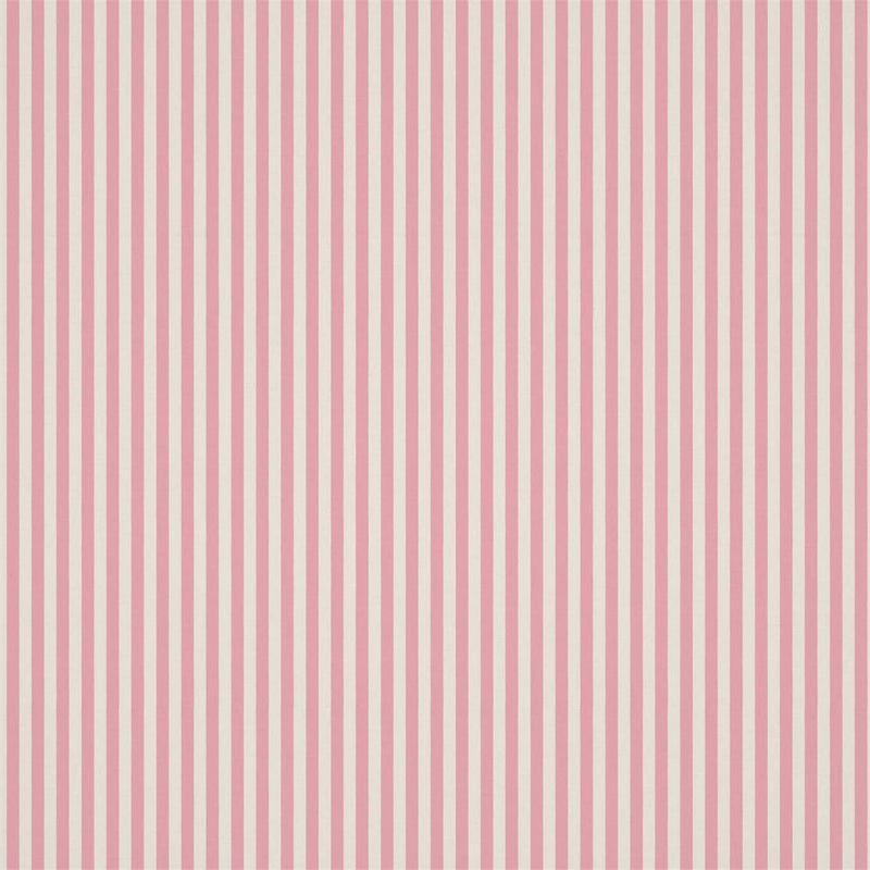 Carnival Stripe