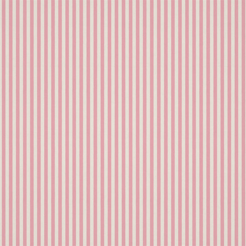 Carnival Stripe