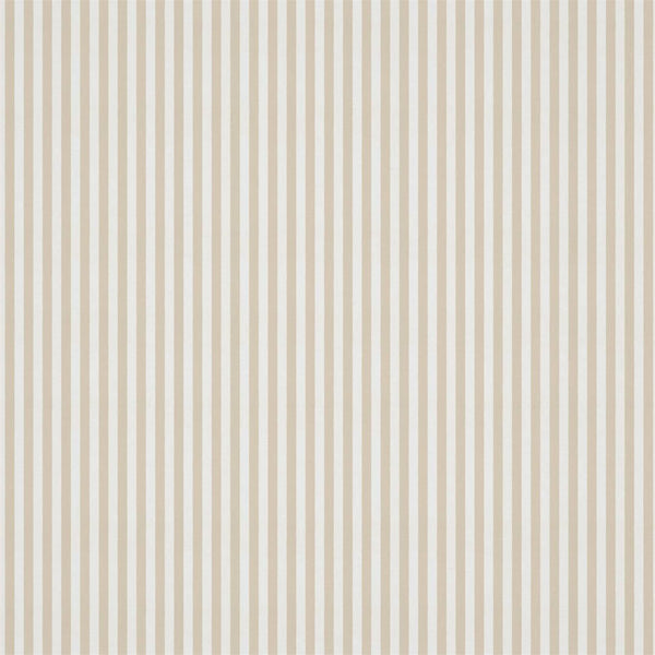 Carnival Stripe