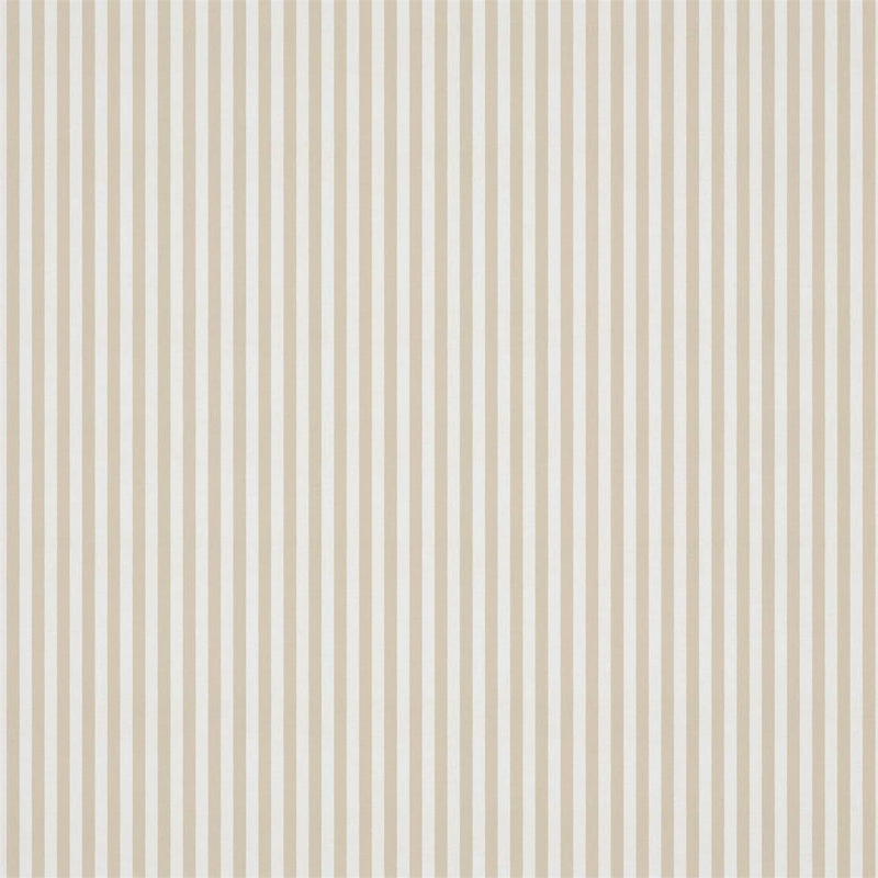 Carnival Stripe