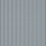 Carnival Stripe