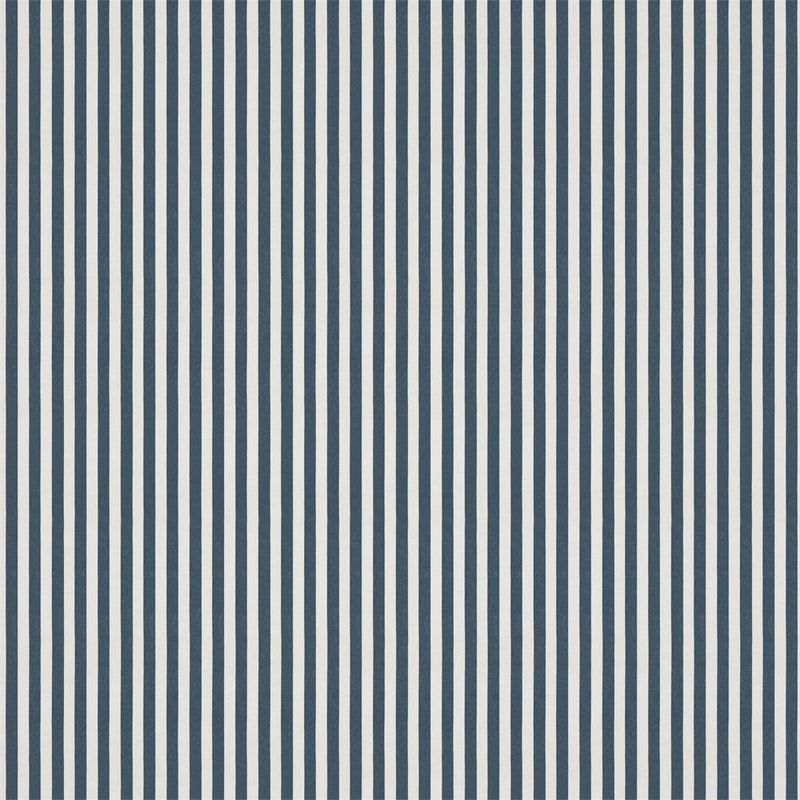 Carnival Stripe