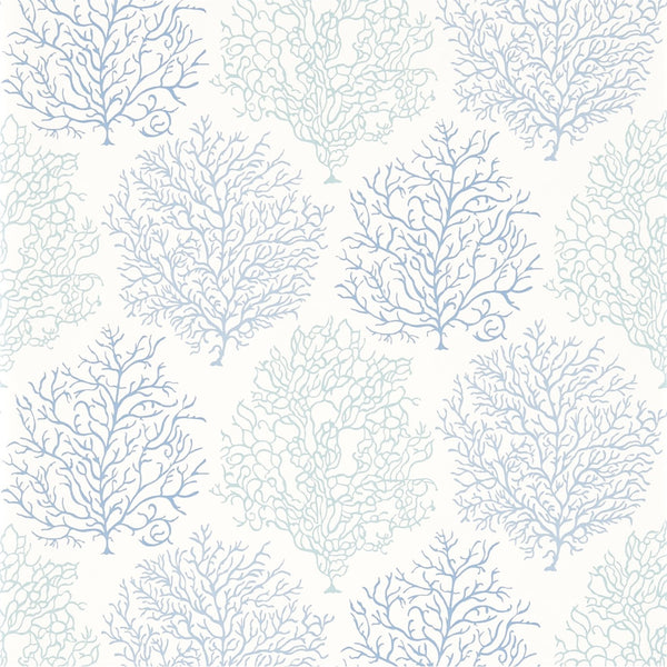 Coral Reef