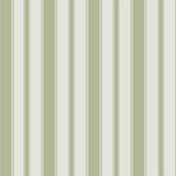 Cambridge Stripe