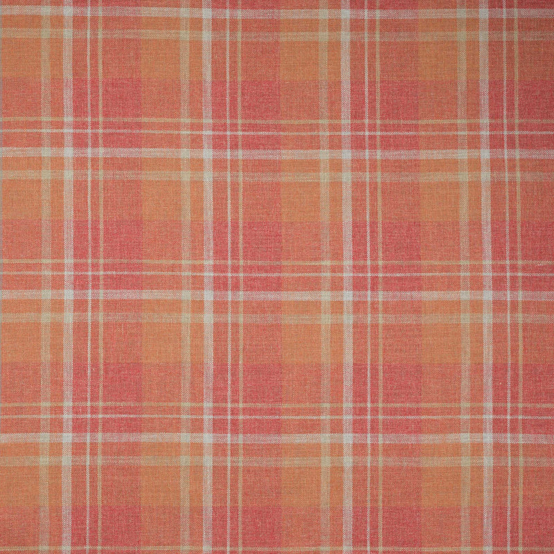 Donovan Plaid