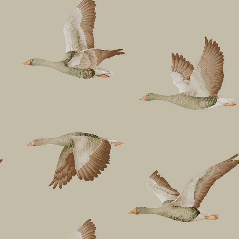 Elysian Geese