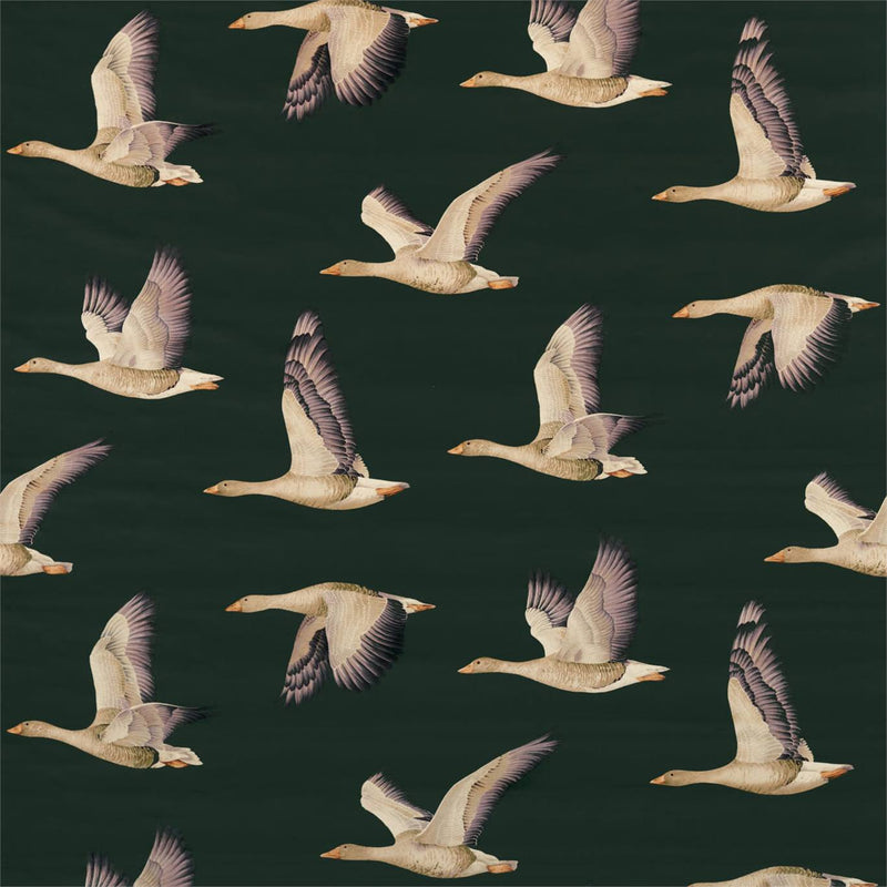 Elysian Geese