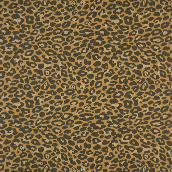Felino