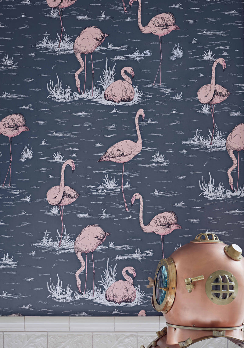 Flamingos