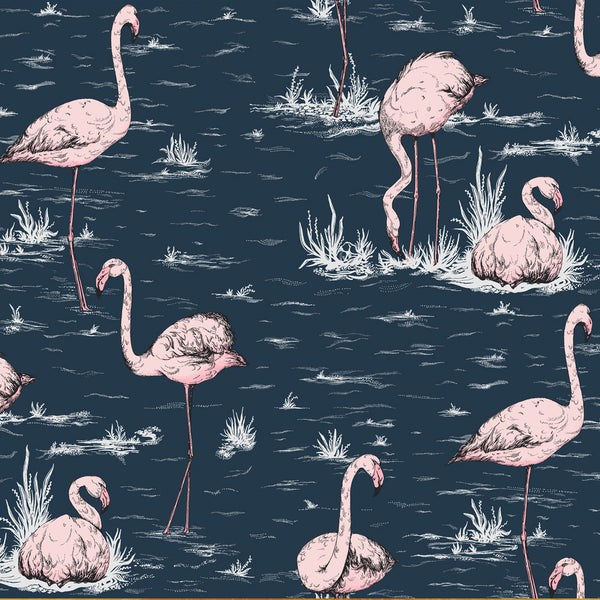 Flamingos - Carta da Parati