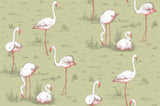 Flamingos