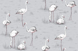 Flamingos