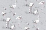 Flamingos - Carta da Parati