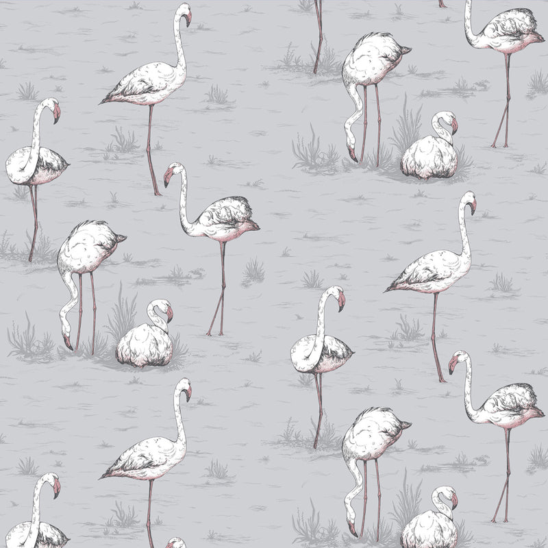 Carta da Parati - FLAMINGOS