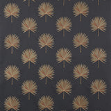 Fortunei