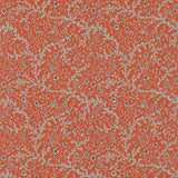Fleurs de Corail