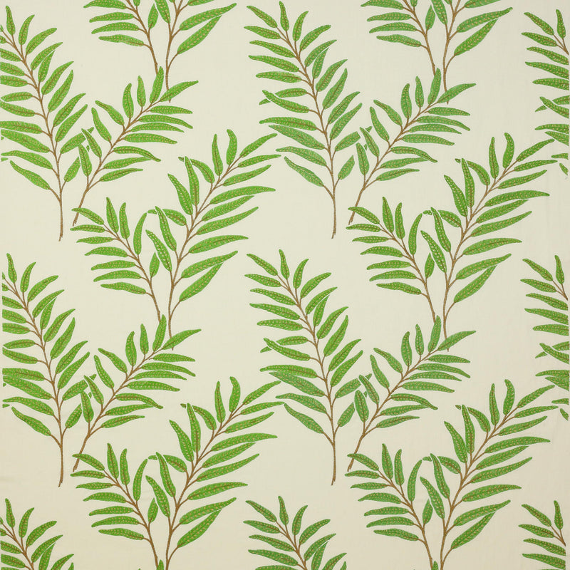 Haywood Leaf