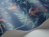Hummingbirds