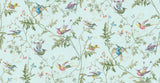 Hummingbirds