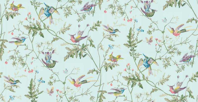 Hummingbirds