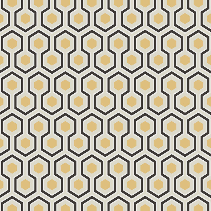 Hicks' Hexagon
