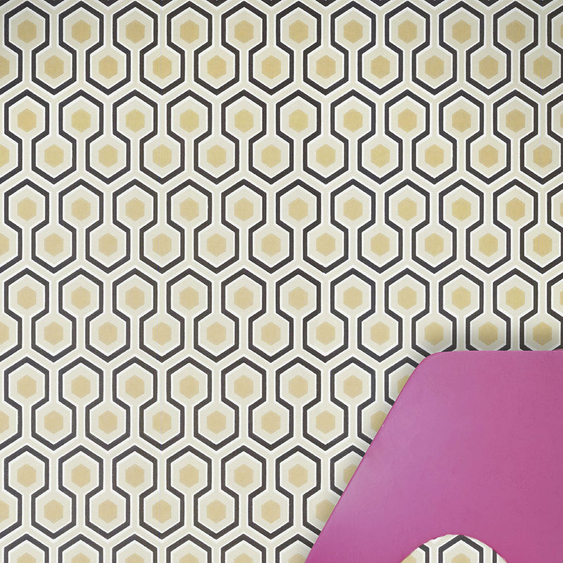 Hicks' Hexagon