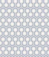 Hicks' Hexagon
