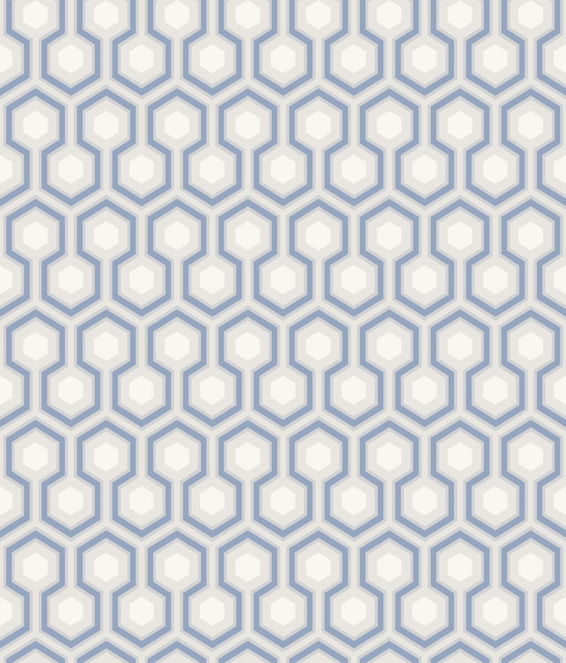 Hicks' Hexagon