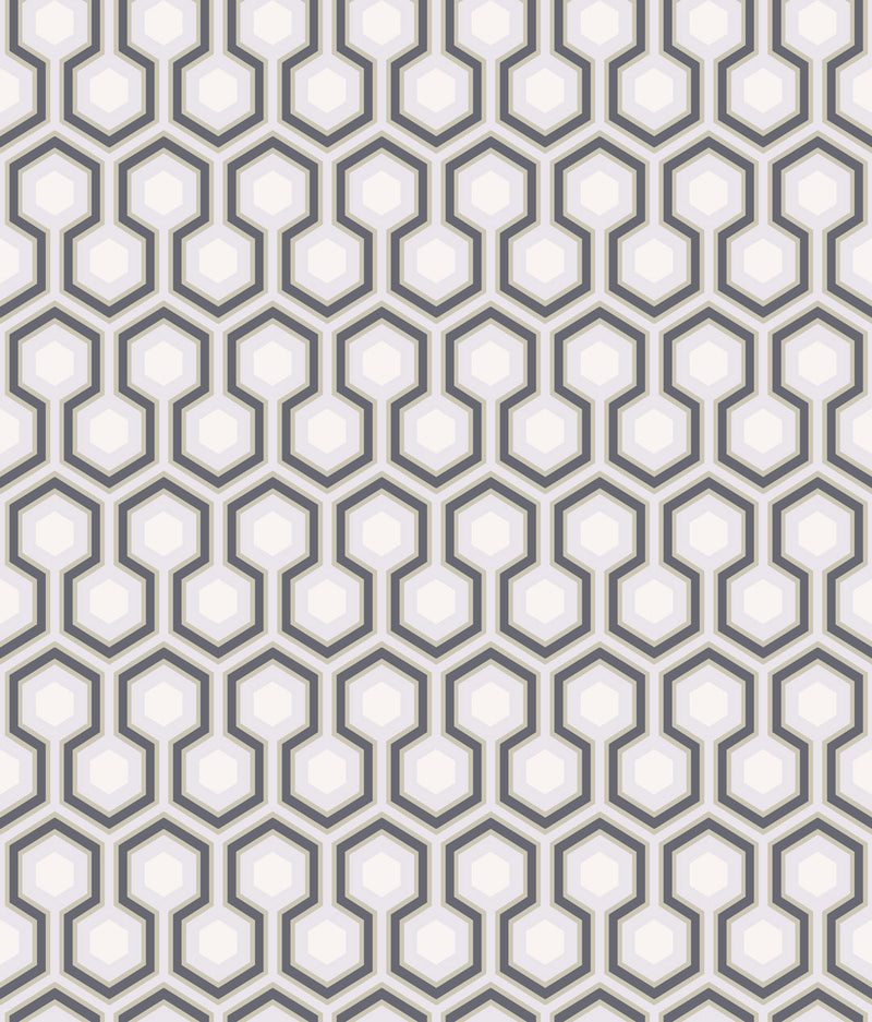 Hicks' Hexagon