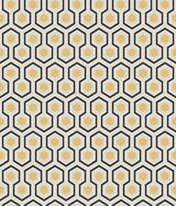 Hicks' Hexagon