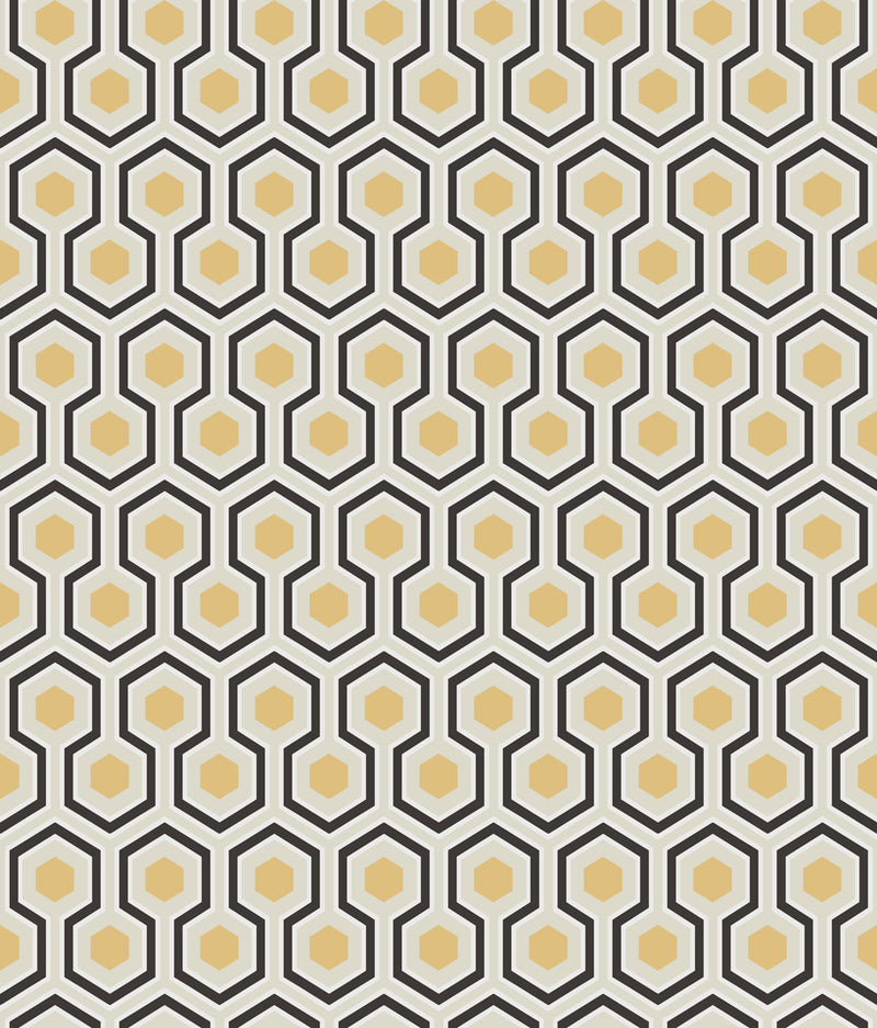 Hicks' Hexagon