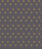 Hicks' Hexagon