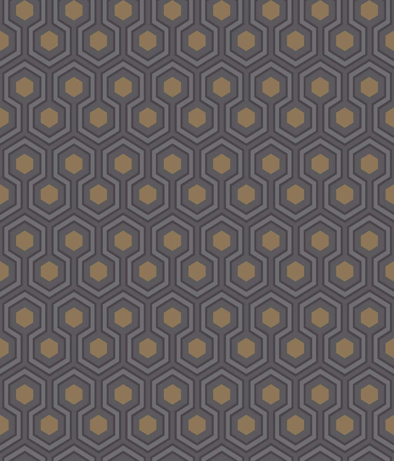 Hicks' Hexagon