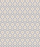 Hicks' Hexagon