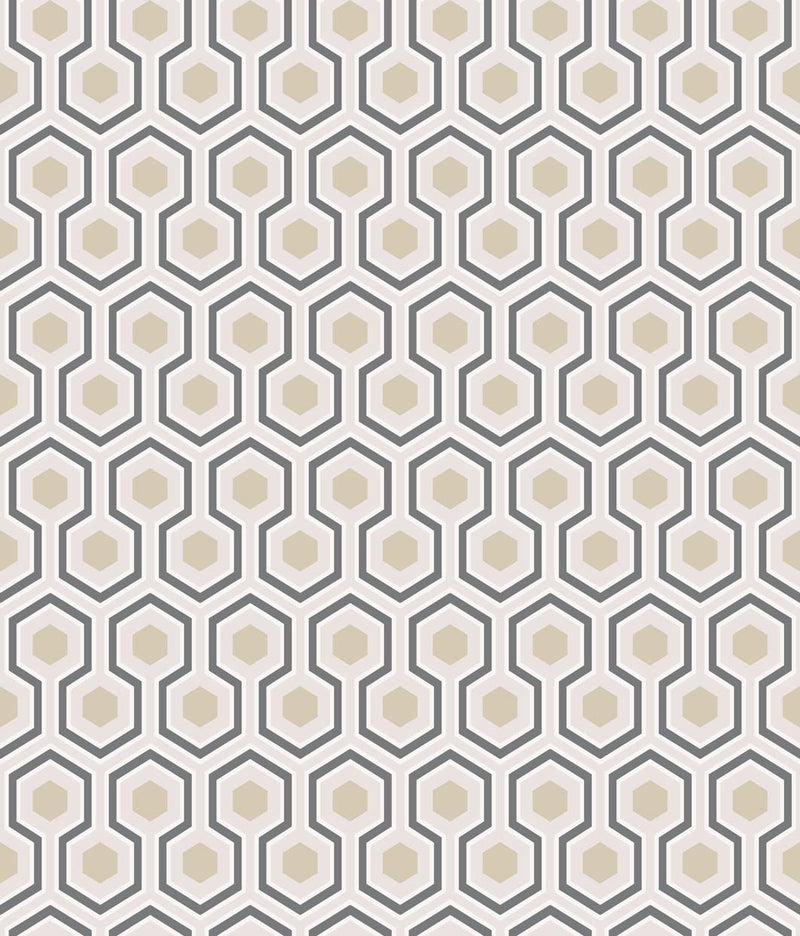 Hicks' Hexagon