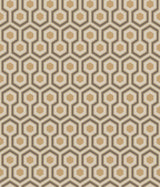 Hicks' Hexagon