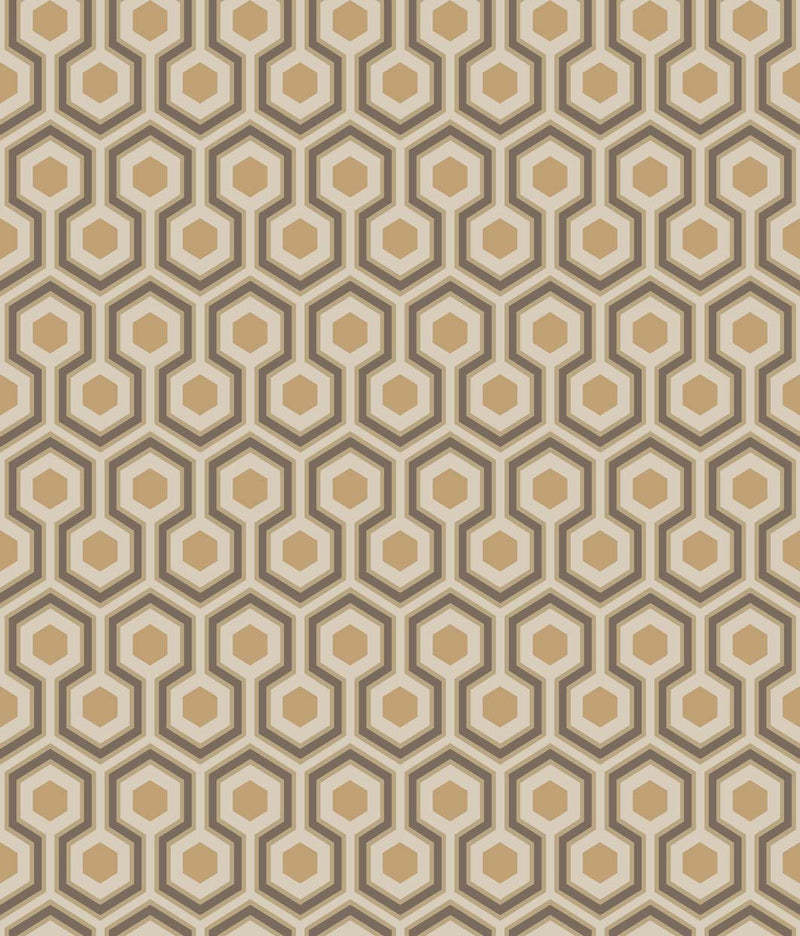 Hicks' Hexagon
